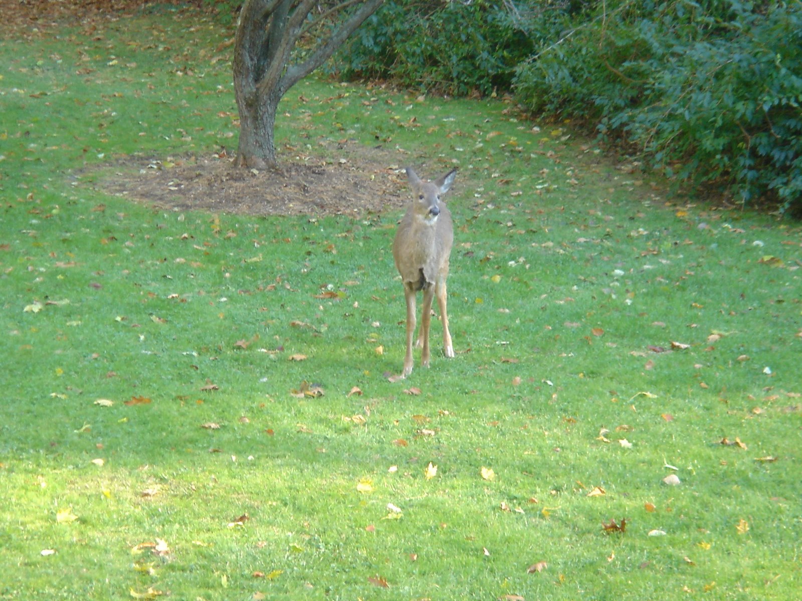 [DSC00992.JPG]