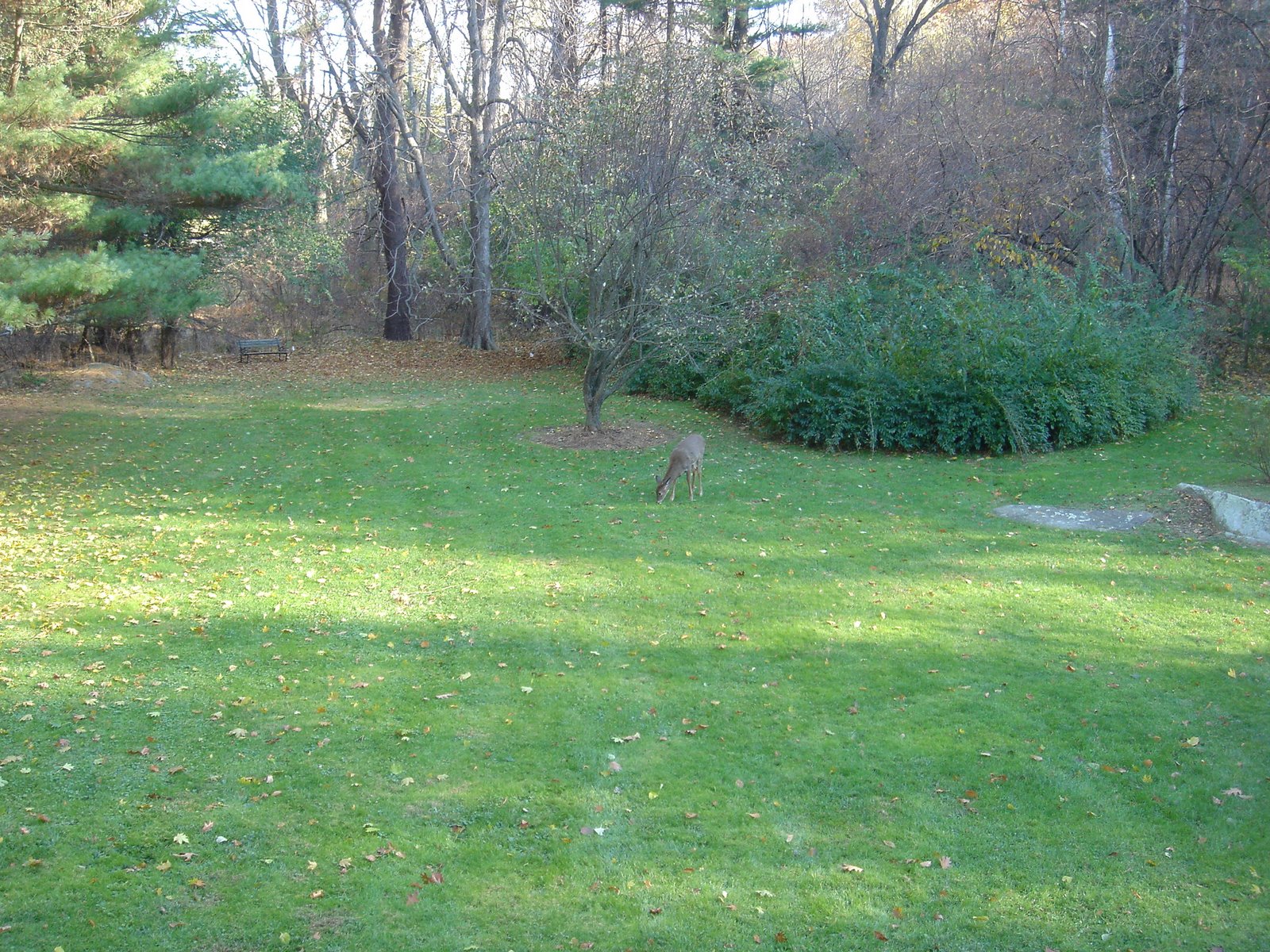 [DSC00989.JPG]