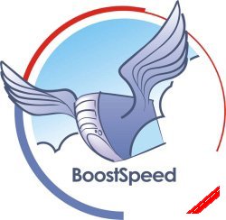  Auslogics BoostSpeed 5.0.5