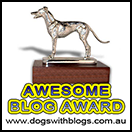 DWB Awesome Blog Award