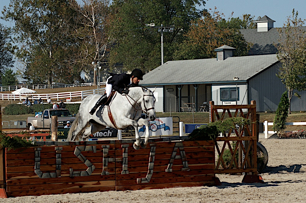 World Equestrian Games Work in Progress.