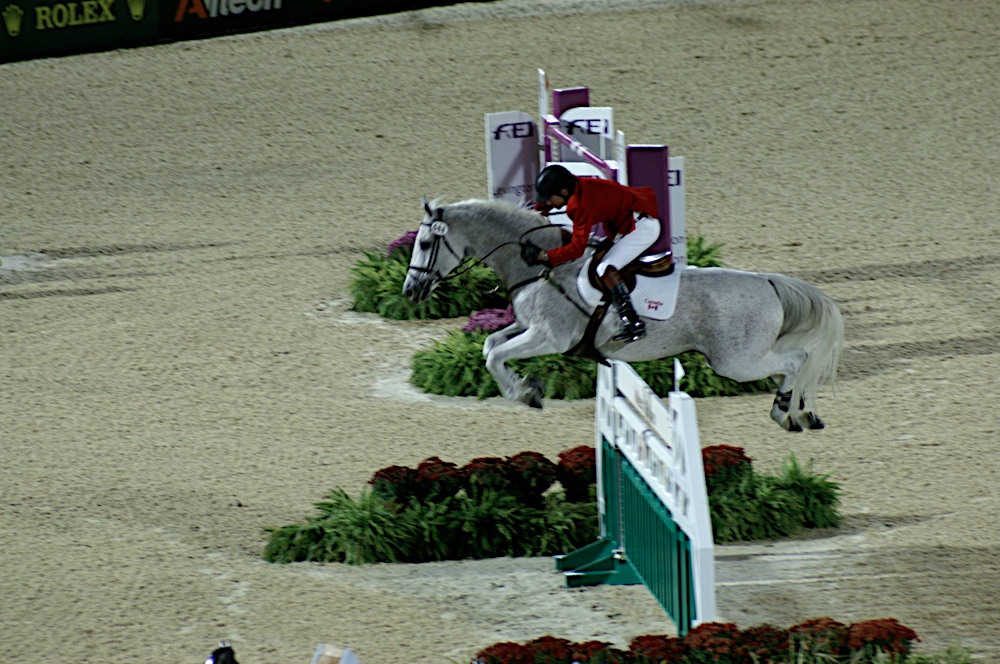 World Equestrian Games Work in Progress.