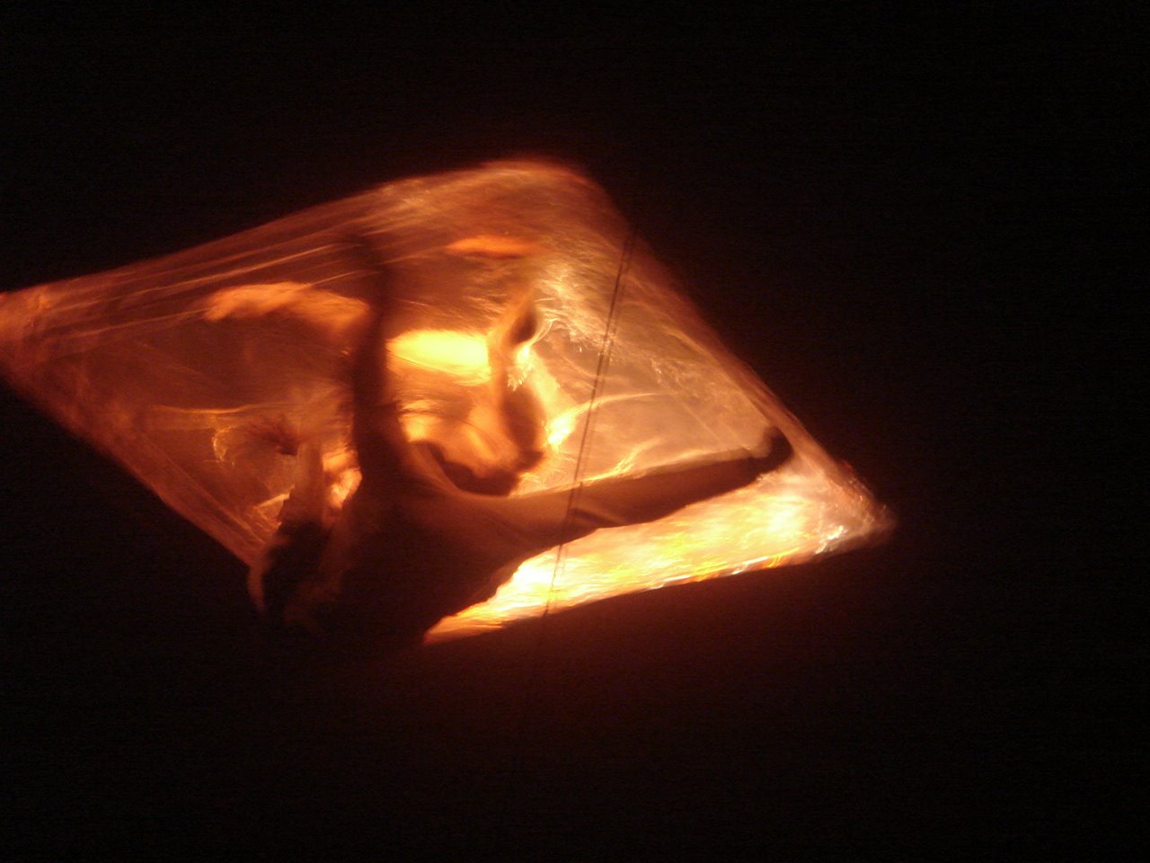 [DSC06375.JPG]