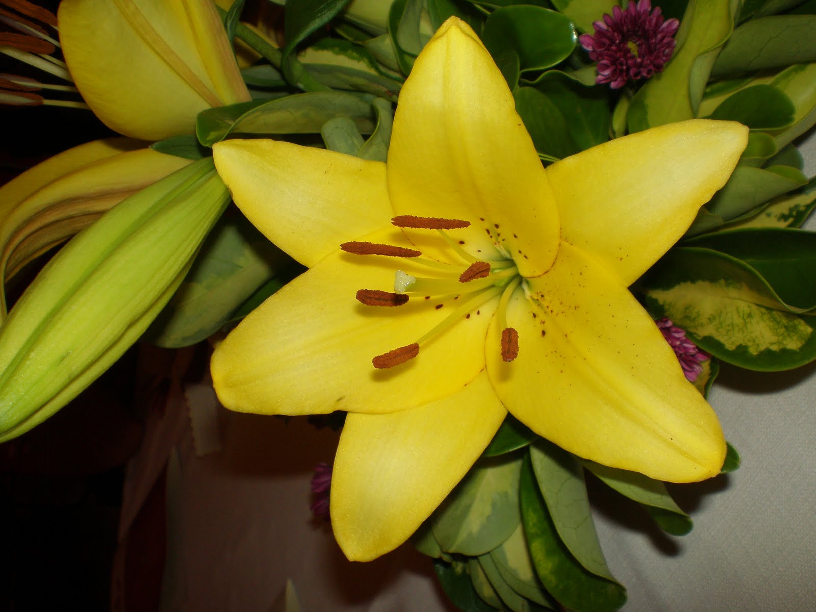 dentrodelagaveta UN POCO DE AMARILLO