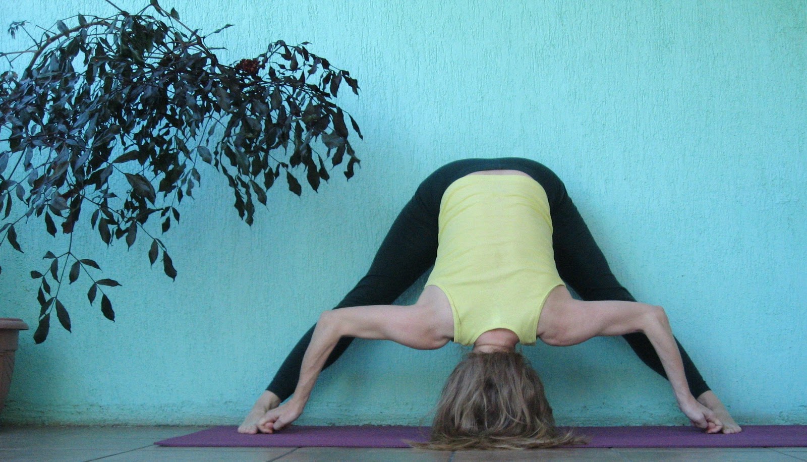 Prasarita Padottanasana C Benefits
