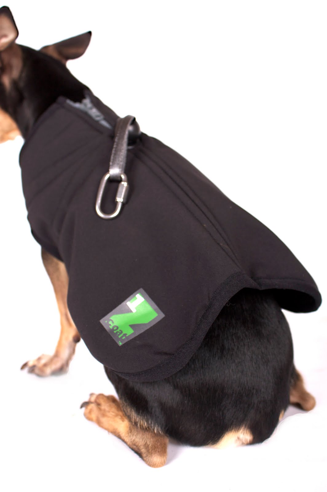 Bark.Sniff.Drool Blog Product Review Pawz Dog Boots & IZ Coat