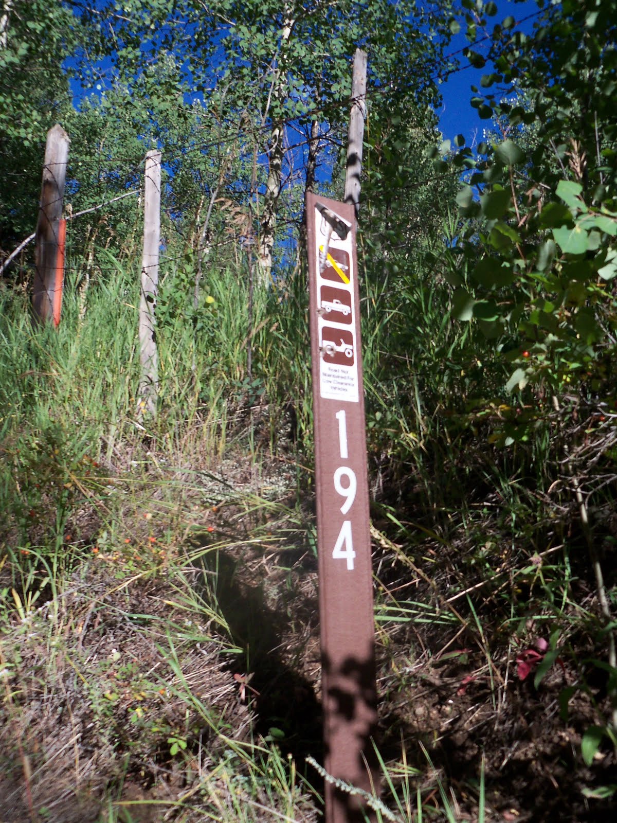 Trail and Park Reviews Barbour Forks Trail, exploratory hike, Idaho