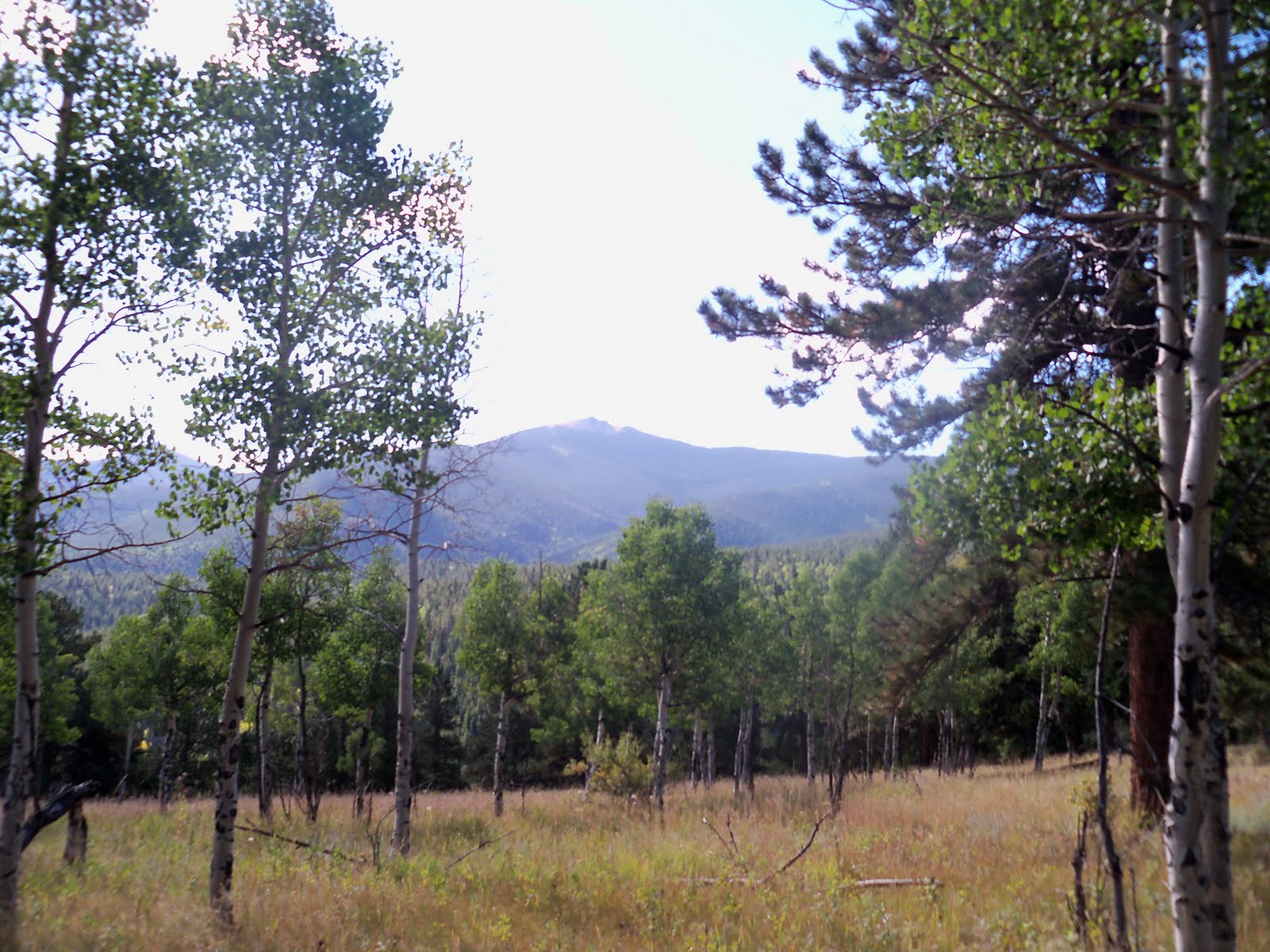 Trail and Park Reviews Barbour Forks Trail, exploratory hike, Idaho