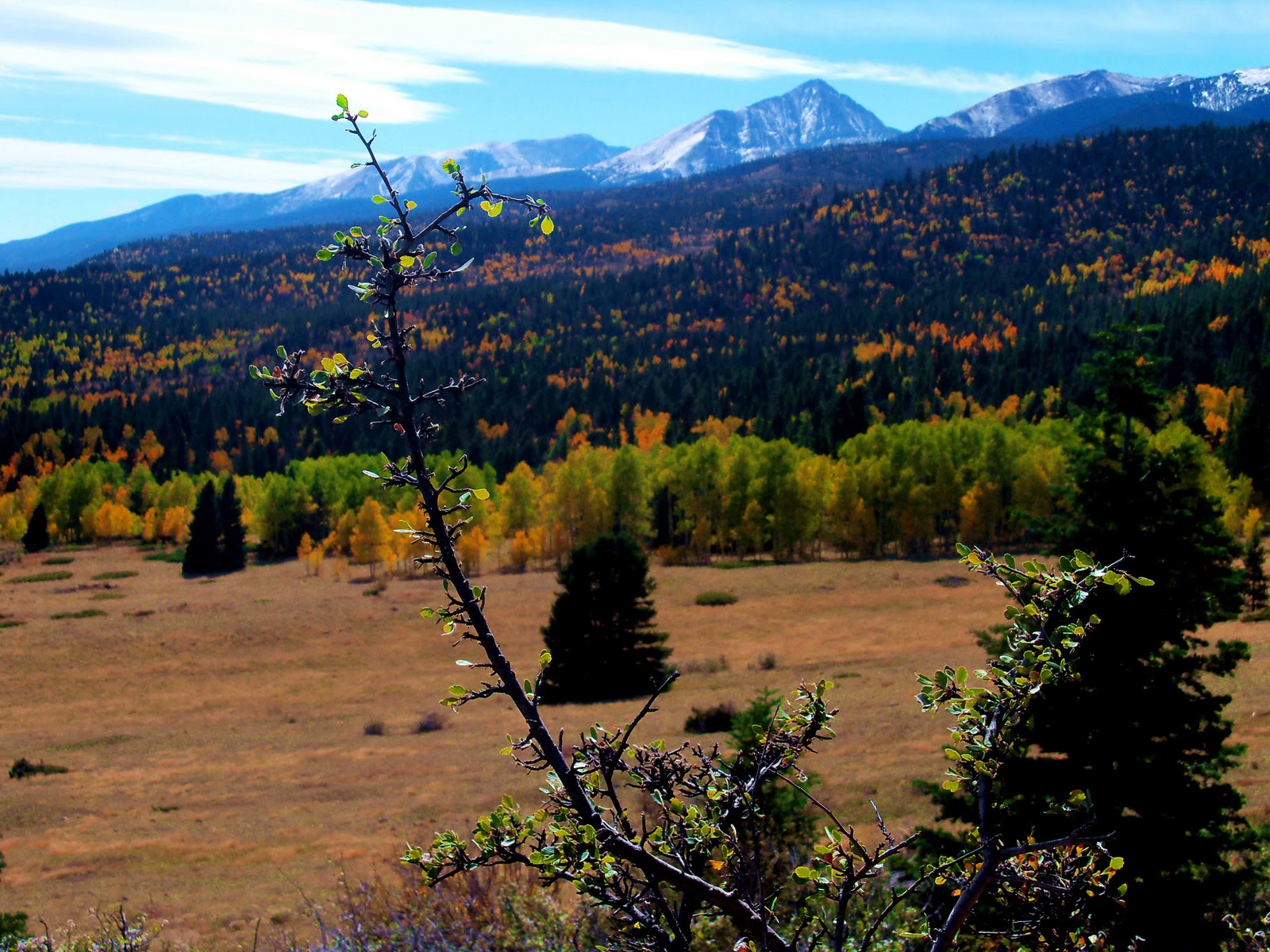 Trail and Park Reviews Hiking in Westcliffe, Gibson Creek Trailhead