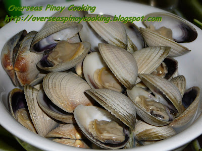 vacuum packed pre-cooked gourmet clams