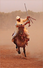 Banu Sanhadja Arabs