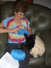 My knitting buddies