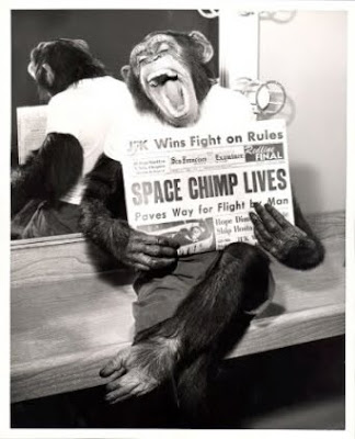 Space Chimp Lives