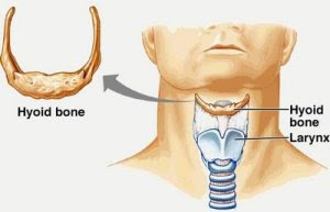 Bones In Throat 102