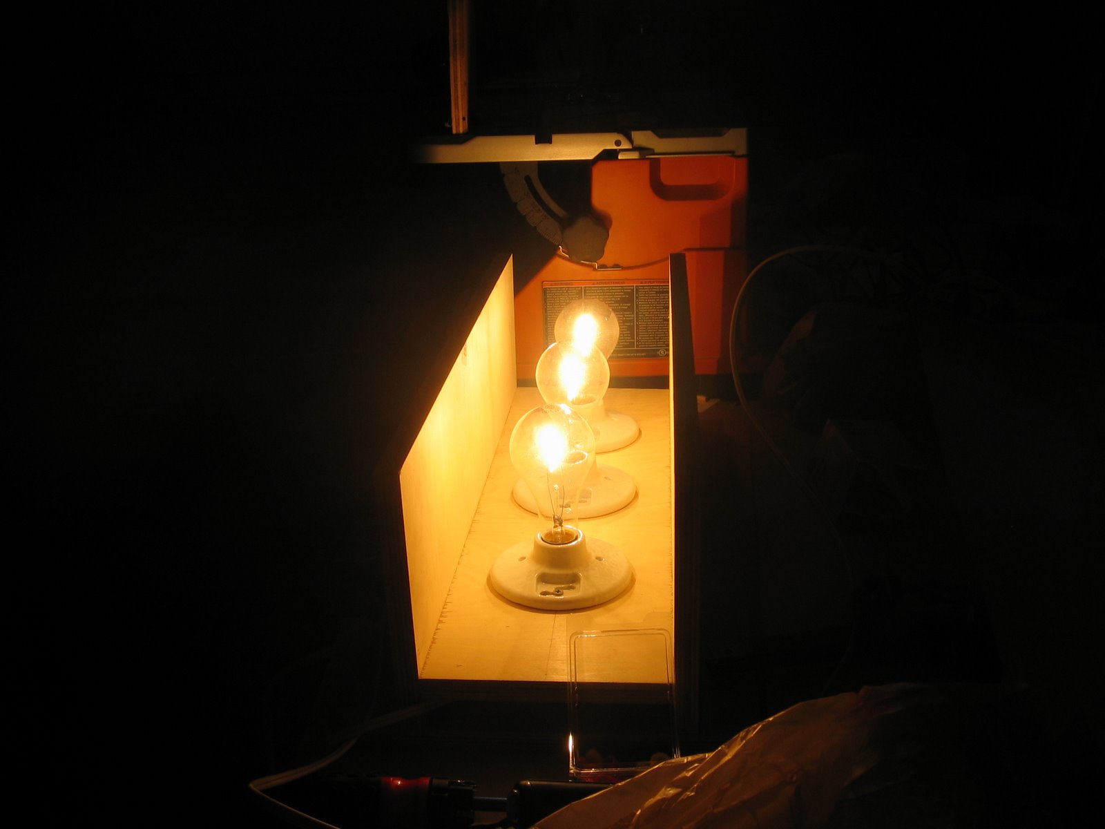 [IMG_7965.JPG]