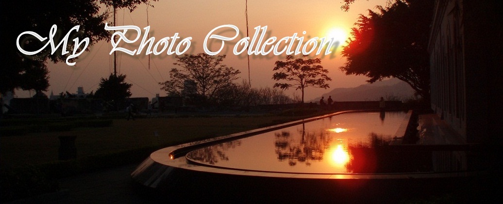 My Photo Collection