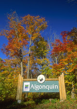 ENTRANCE TO ALGONQUIN PARK IN THE FALL,