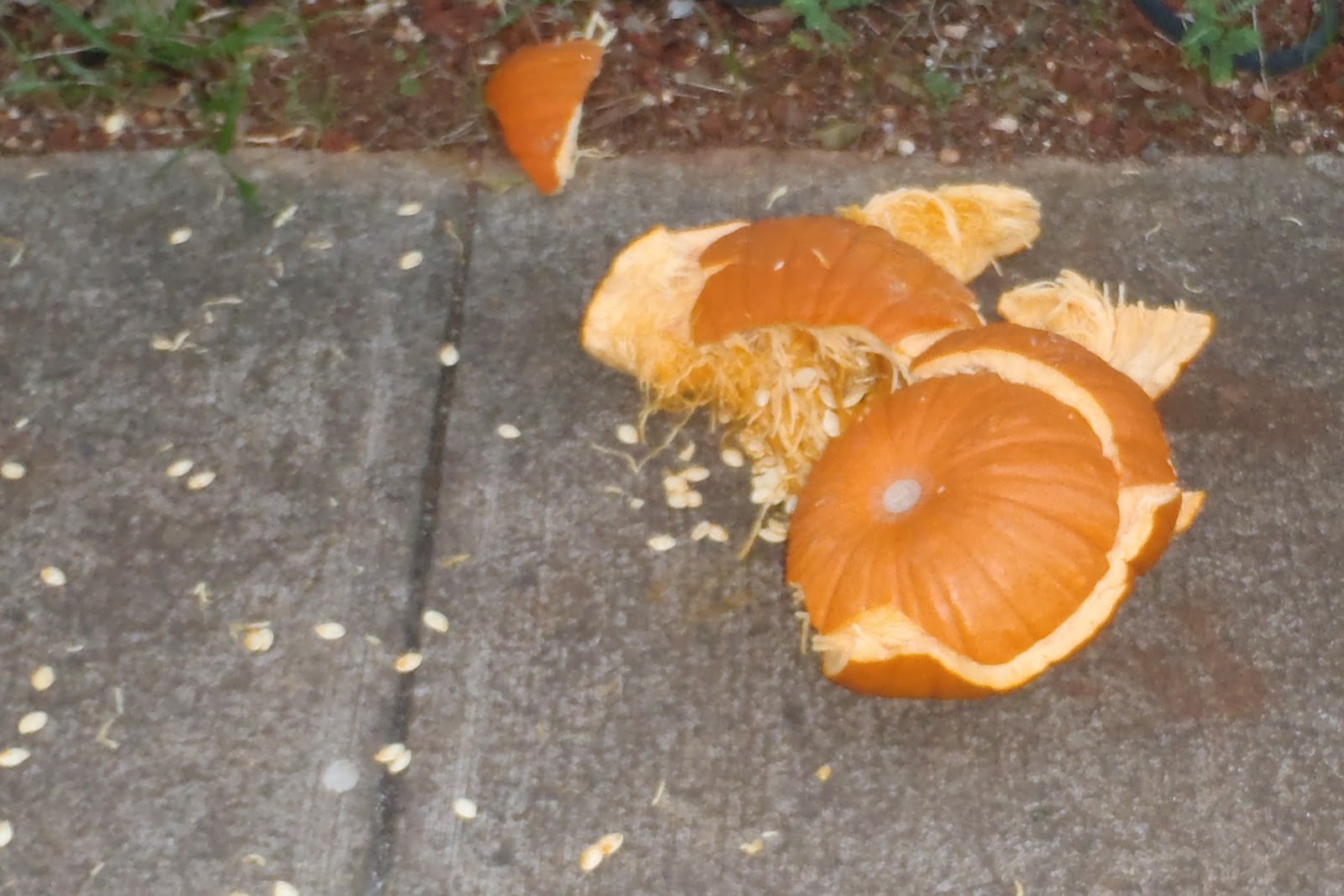 mommyvsarmyof5-post-halloween-pumpkin-smashing