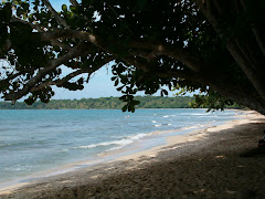 Cahuita again