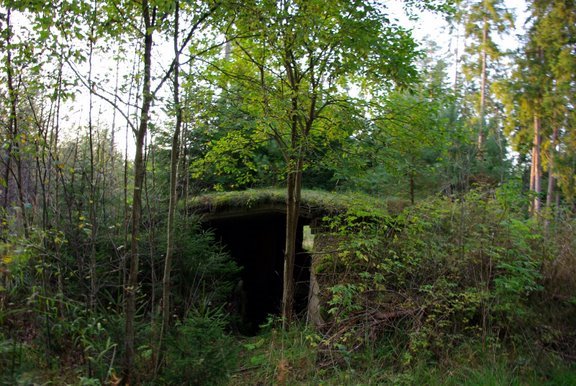 [Rudninku+Forest+23.9.08+(52).JPG]