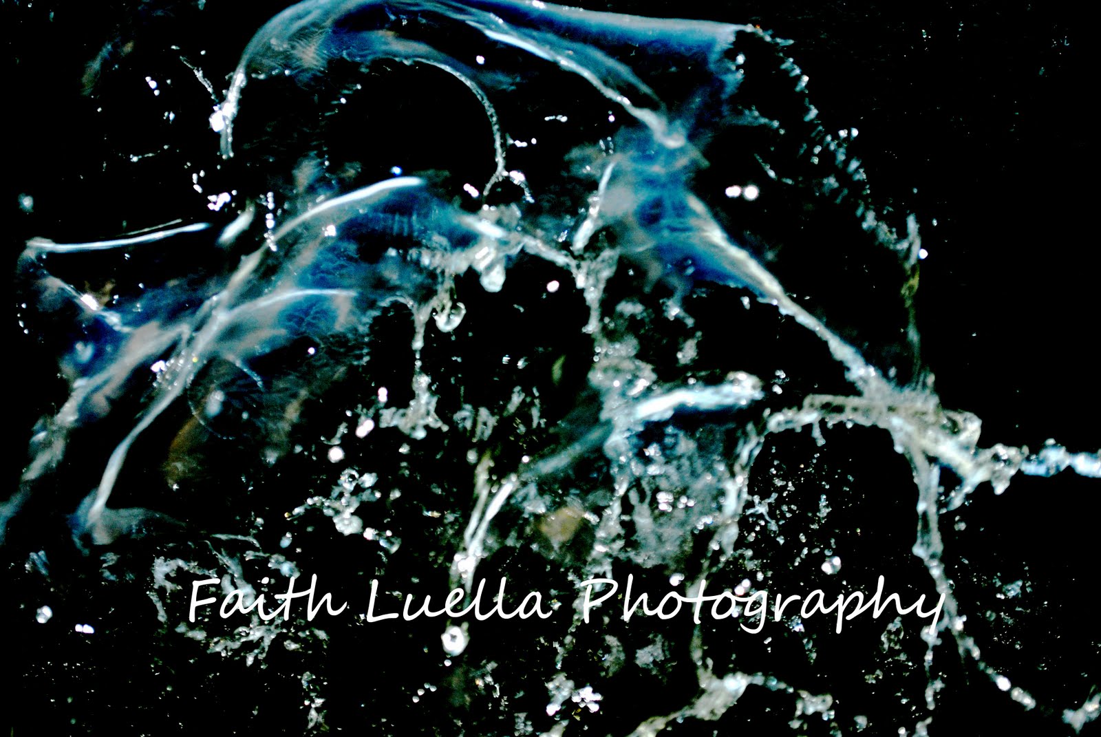 Faith Luella Photography Anatomy of a Splash....