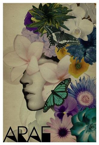 one a day Arae Exhibition Q&A with curator Sarah Michelle