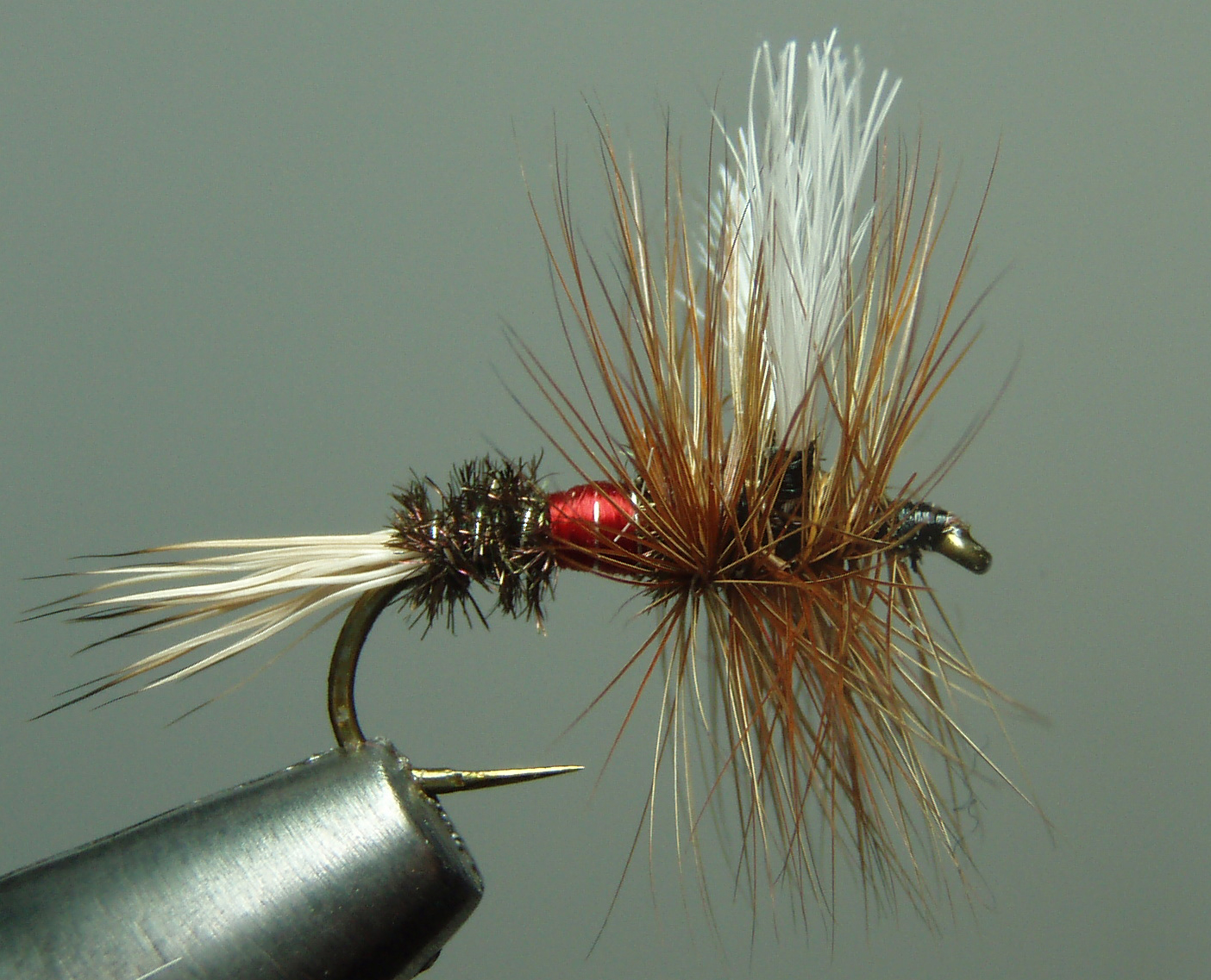 The Fly Guide: The Royal Wulff