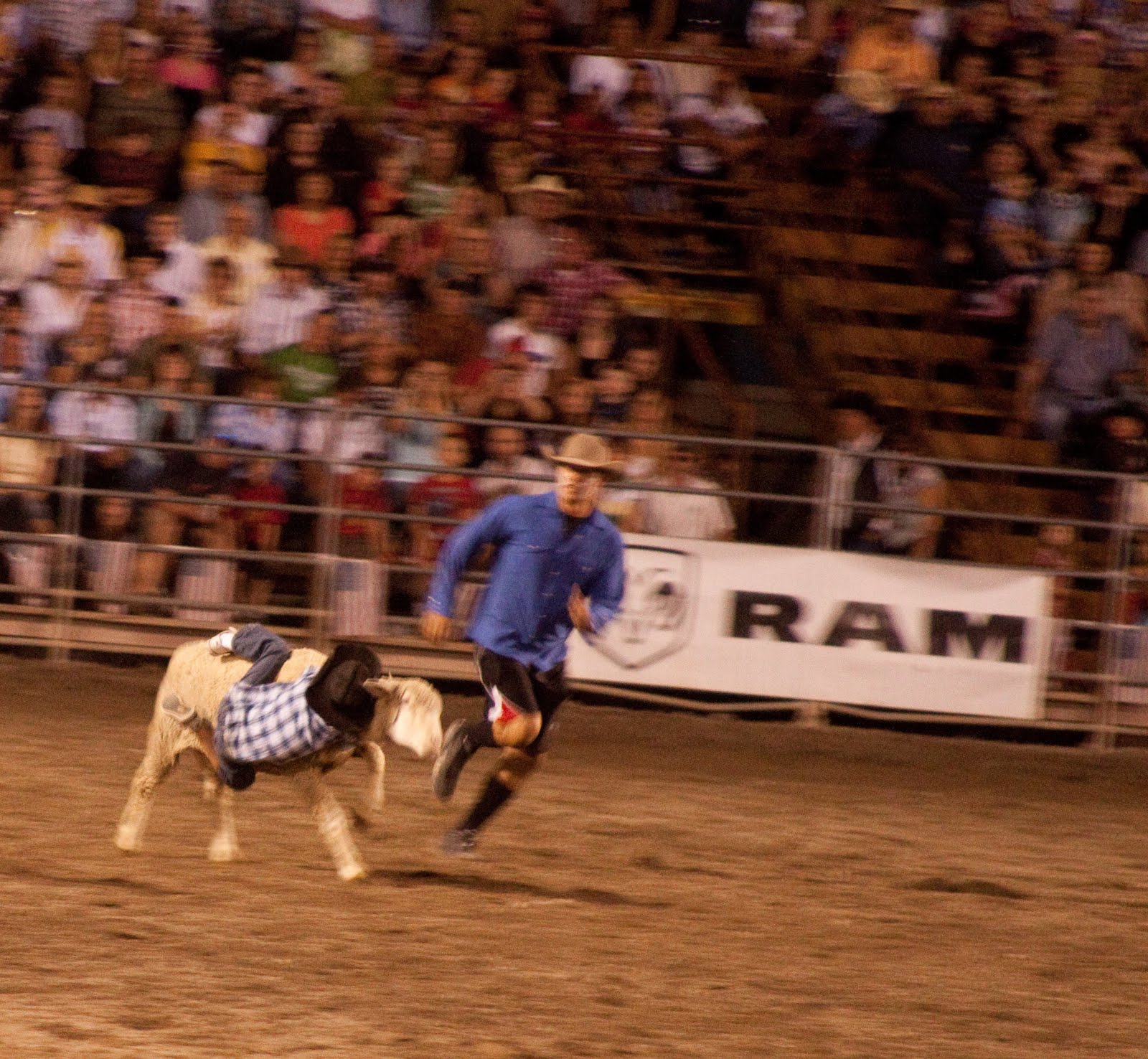 My Musings: Rodeo Season