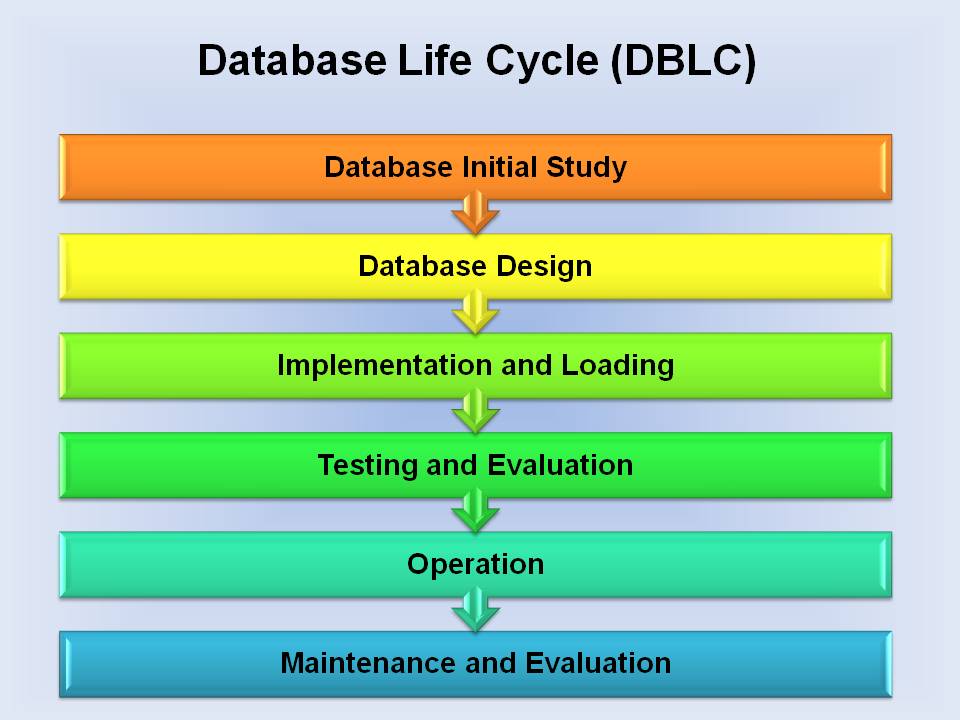 Database Development Cycle | The database development life cycle – ELZYL