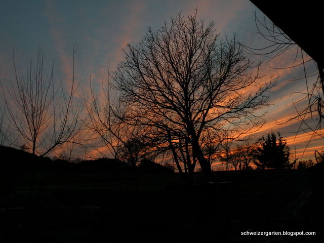 Ein Schweizer Garten: Holz vor der Hütt'n