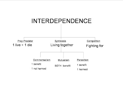 Interdepend The Eights: interdepence