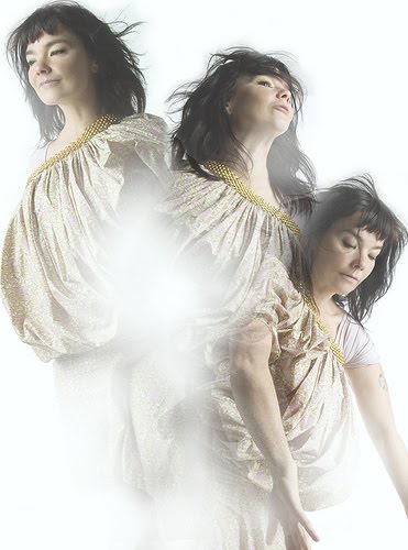 [bjork75.jpg]