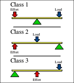 Science Journal: The three classes of levers