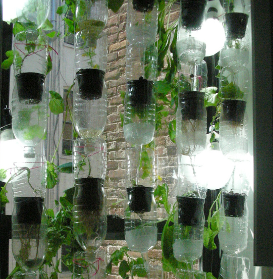 OG Media: Window Farming