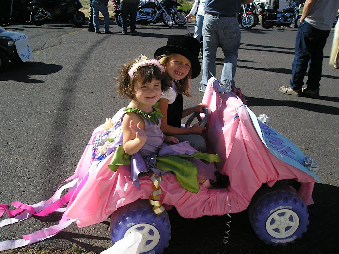 amanda the princess and chauffer Brooke