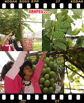 CACTUS VALLEY CAMERON HIGHLANDS DAY 3 PART 3