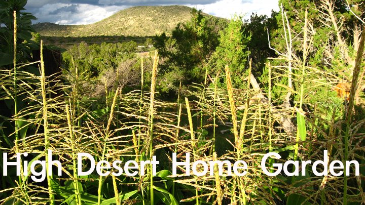 High Desert Home Garden