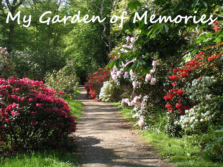 My Garden of Memories