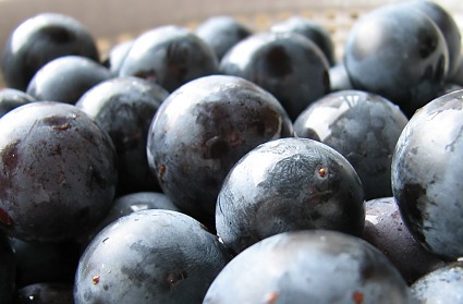 [06_1010_grapes.jpg]