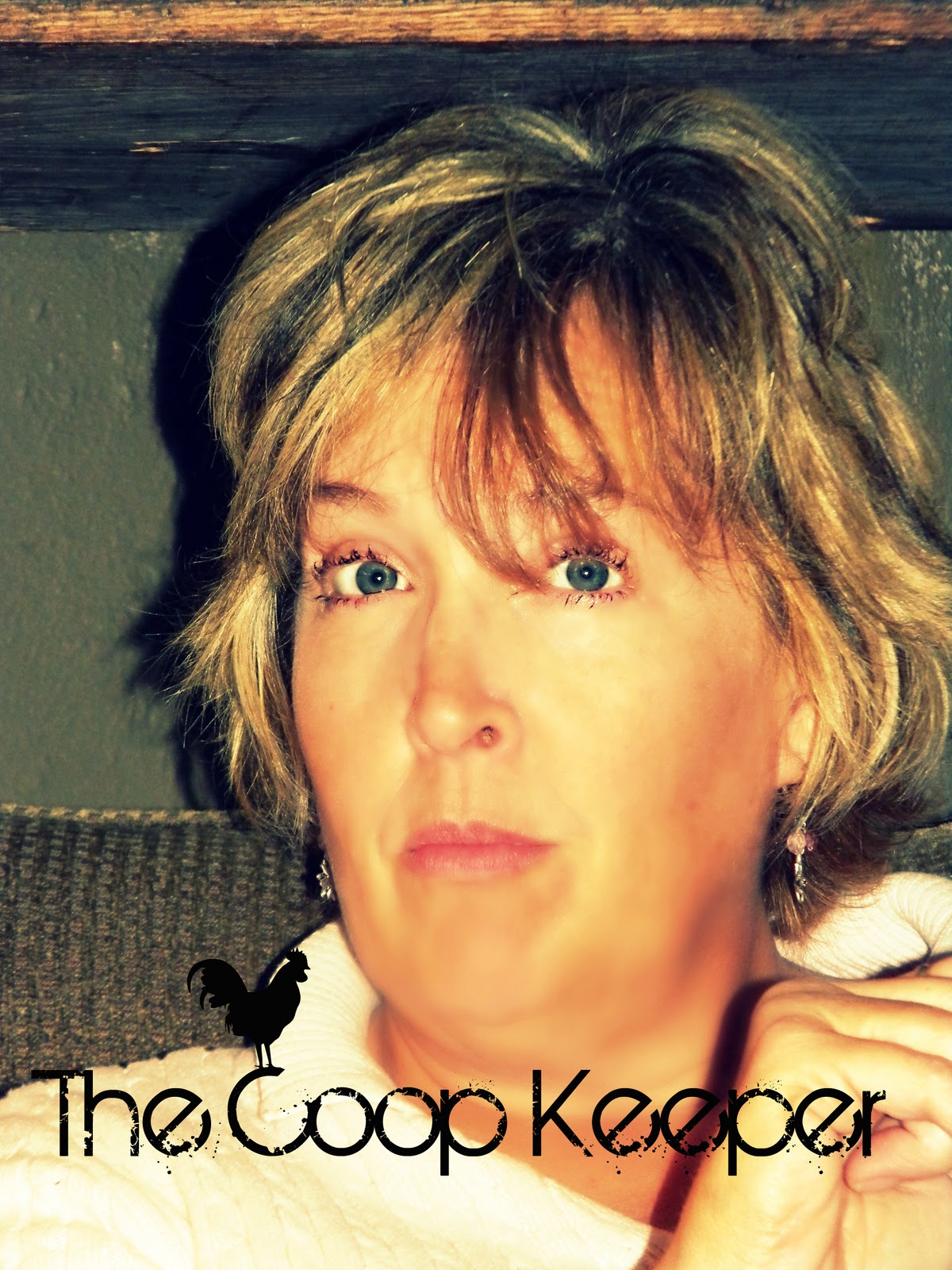 Tales from the Coop Keeper Diary of a Mad White Woman