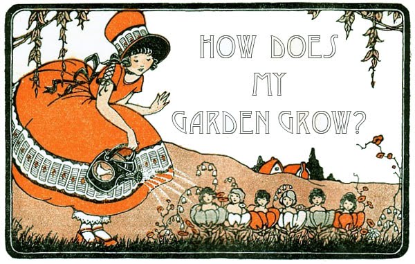 How Does My Garden Grow?