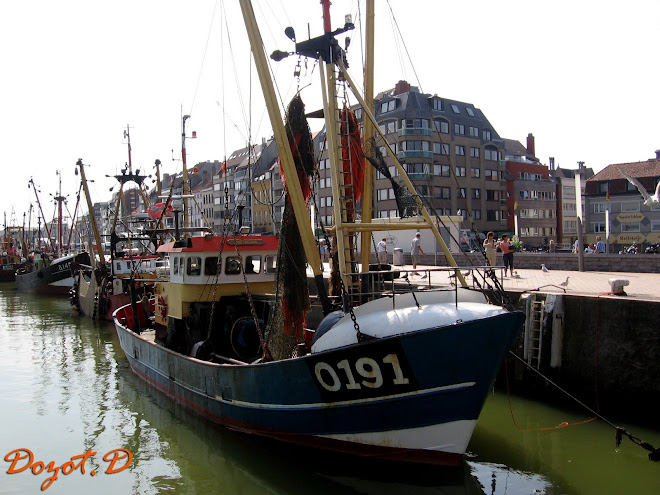 Chalutier Natacha au port d'Ostende