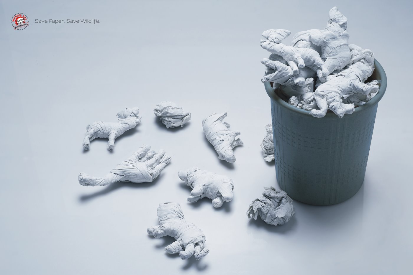 [WildlifeSOSpaper+SUDLER&HENNESSEY+India.jpg]