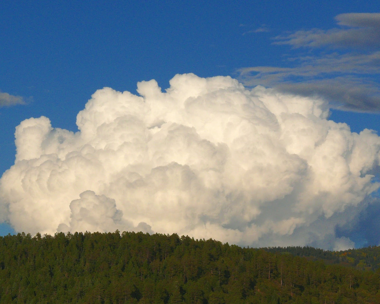 Cat On My Head: Big Fluffy Clouds