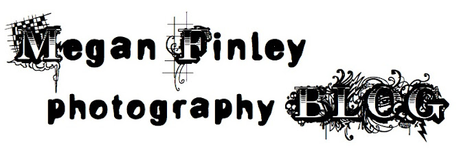 megan finley photography blog