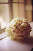 Beauty of Life