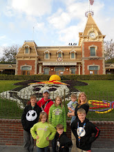 Disneyland 2010