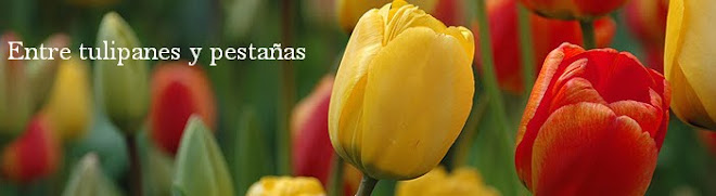 Entre tulipanes y pestañas