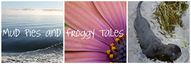 Mud Pies and Froggy Tales
