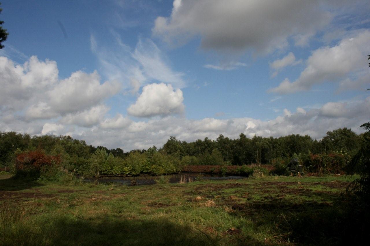 James Marchington: November 2010